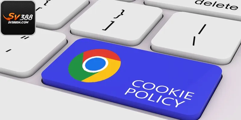 Cách SV388 Sử Dụng Cookie Và Công Cụ Theo Dõi Hành Vi Truy Cập