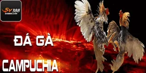 Đá Gà Campuchia