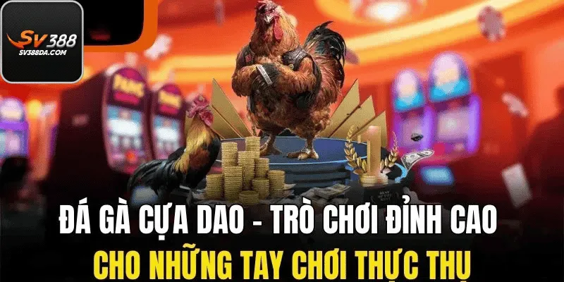Đá Gà Cựa Dao