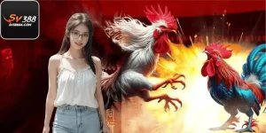 Gà Chạy Kiệu SV388