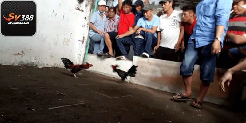 Tránh đặt theo đám đông khi chưa có phân tích kỹ